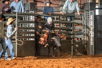 Youth Steer Riding Rodeo 10