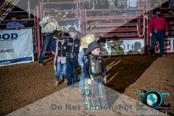 10-225156-2020 North Texas Fair and rodeo denton bulls first perfeqn}