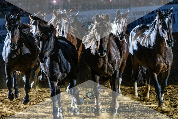 _DSC0167