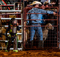 10-22-2020-North Texas Fair Rodeo-Bulls Perf1-Lisa7870