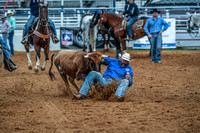North Texas Fair and rodeo denton2100