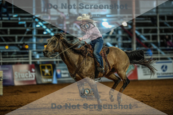 North Texas Fair and rodeo denton3373