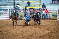 North Texas Fair and rodeo denton2077