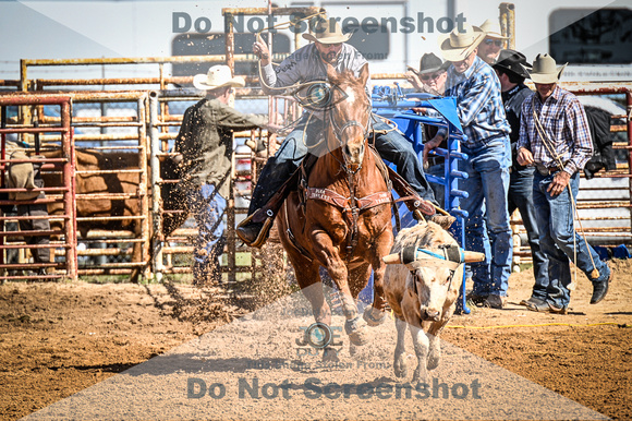 _JDZ9898-03-25-2022_Huntsville rodeo_Steer Tripping_JoeDuty-01053