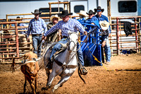 _JDZ0008-03-25-2022_Huntsville rodeo_Steer Tripping_JoeDuty-01182