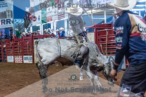 _JOE6787.NEF_8-26-2022_North Texas State Fair Rodeo_Bulls_Perf 2_Lisa Duty8377