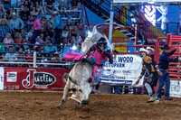 _JOE6757.NEF_8-26-2022_North Texas State Fair Rodeo_Bulls_Perf 2_Lisa Duty8347