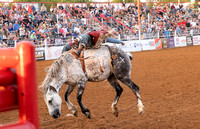 _DSC0613.NEF_8-19-2022_North Texas State Fair Rodeo_Perf 1_Lisa Duty2375