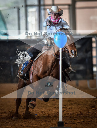 Mounted nshooting 1-25-201402