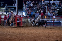 _DSC1793.NEF_8-20-2022_North Texas State Fair Rodeo_Perf 2_Lisa Duty4303