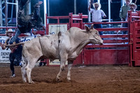 _DSC1965.NEF_8-20-2022_North Texas State Fair Rodeo_Perf 2_Lisa Duty4475