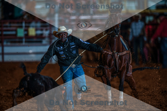 10-174593-2020 North Texas Fair and rodeo denton seqn}