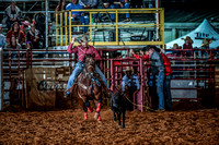 10-174557-2020 North Texas Fair and rodeo denton seqn}