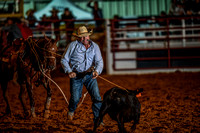 10-174579-2020 North Texas Fair and rodeo denton seqn}