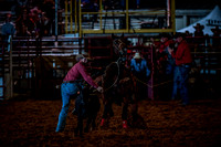 10-174562-2020 North Texas Fair and rodeo denton seqn}