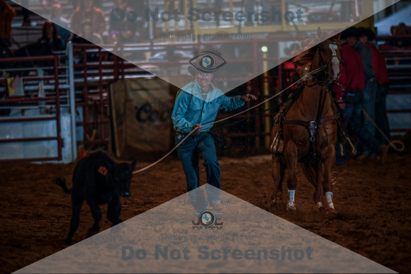 10-174548-2020 North Texas Fair and rodeo denton seqn}