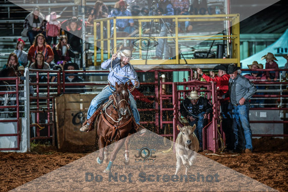 10-174553-2020 North Texas Fair and rodeo denton seqn}