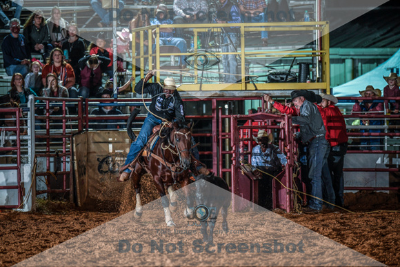 10-174589-2020 North Texas Fair and rodeo denton seqn}