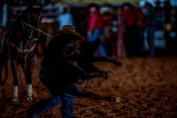 10-174594-2020 North Texas Fair and rodeo denton seqn}