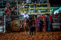 10-174573-2020 North Texas Fair and rodeo denton seqn}