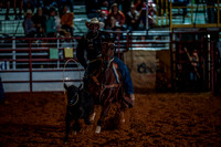 10-174592-2020 North Texas Fair and rodeo denton seqn}