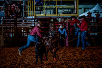 10-174561-2020 North Texas Fair and rodeo denton seqn}