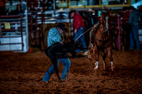 10-174549-2020 North Texas Fair and rodeo denton seqn}