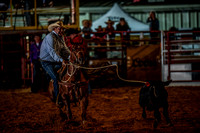 10-174578-2020 North Texas Fair and rodeo denton seqn}