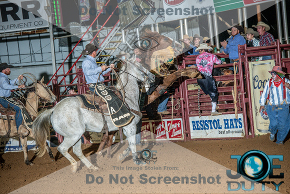 10-215625-2020 North Texas Fair and rodeo under 21 2nd perf lisafeqn}