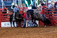 _DSC2980.NEF_8-21-2022_North Texas State Fair Rodeo_Perf 3_Lisa Duty5490