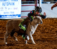 10-22-2020-North Texas Fair Rodeo-Bulls Perf1-Lisa7866