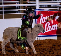 10-22-2020-North Texas Fair Rodeo-Bulls Perf1-Lisa7862