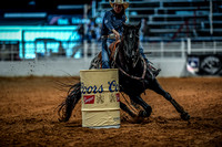 North Texas Fair and rodeo denton3380