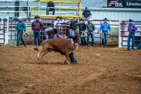 North Texas Fair and rodeo denton2065