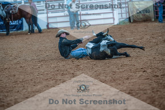 North Texas Fair and rodeo denton2256