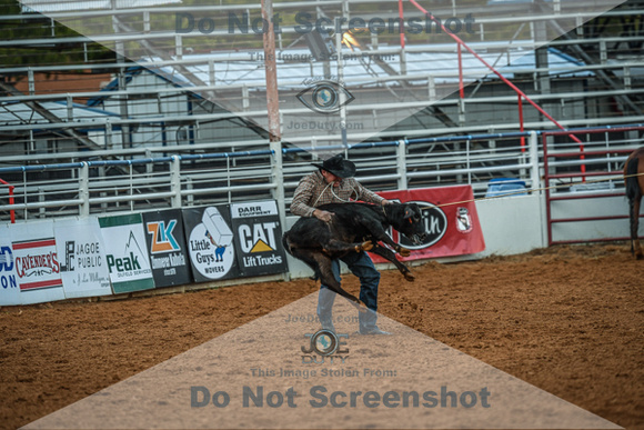 North Texas Fair and rodeo denton2316