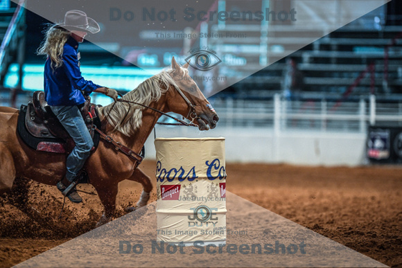 North Texas Fair and rodeo denton3385
