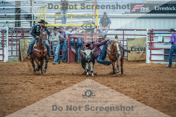 North Texas Fair and rodeo denton2149