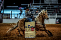 North Texas Fair and rodeo denton3416