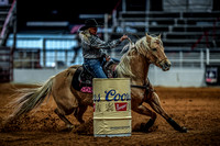 North Texas Fair and rodeo denton3415