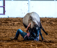 10-22-2020-North Texas Fair Rodeo-Bulls Perf1-Lisa7899
