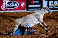 10-22-2020-North Texas Fair Rodeo-Bulls Perf1-Lisa7880