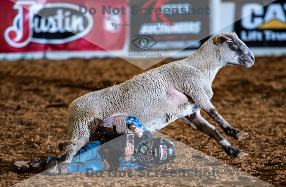 10-22-2020-North Texas Fair Rodeo-Bulls Perf1-Lisa7880