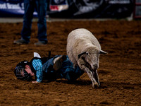 10-22-2020-North Texas Fair Rodeo-Bulls Perf1-Lisa7886