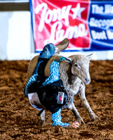10-22-2020-North Texas Fair Rodeo-Bulls Perf1-Lisa7884