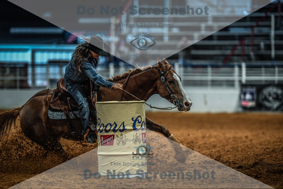 North Texas Fair and rodeo denton3403