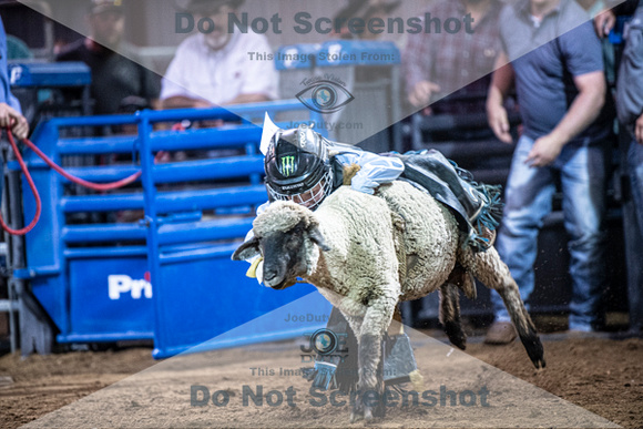10-204990-2020 North Texas Fair and rodeo denton muttin bustingseqn}