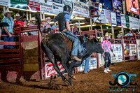 10-225173-2020 North Texas Fair and rodeo denton bulls first perfeqn}