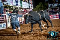 10-225191-2020 North Texas Fair and rodeo denton bulls first perfeqn}