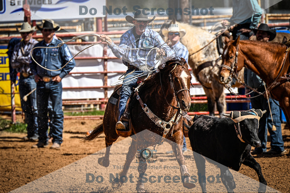 _JDZ9856-03-25-2022_Huntsville rodeo_Steer Tripping_JoeDuty-01011